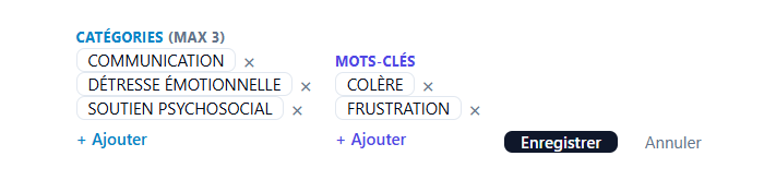 Figure — Mode édition des catégories et mots-clés d'une alerte (maximum 3 catégories)
